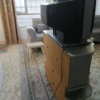 تلوزیون|تلویزیون و پروژکتور|نیشابور, فردوسی جنوبی|دیوار