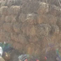 کاه بسته بندی جو