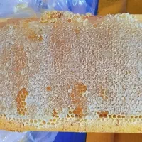 عسل  طبیعی