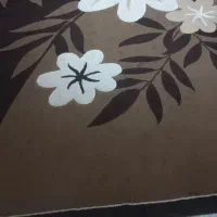 دو عدد فرش ۱۲متری و۹متری|فرش|شیراز, کوزه گری|دیوار