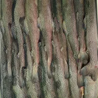 خانم و اقا جهت شست و شوی ماهی