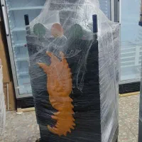 نمایندگی فروش دستگاه ذرت گازی بدون زغال|فروشگاه و مغازه|خرمآباد, |دیوار