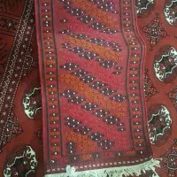 فرش دستبافت کارکرده و ماشینی نو|فرش|گرگان, |دیوار