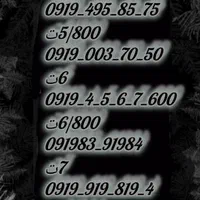 0919-110-40-30|سیم‌کارت|قم, شاه ابراهیم|دیوار