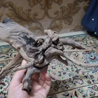 چوب آبنوس