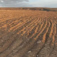 فروش فوری زمین