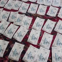 گوپن کلکسیونی