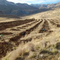 نهالستان حسینی|خدمات باغبانی و درختکاری|یاسوج, |دیوار