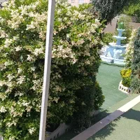 باغ تالار عمارت پنج ستاره