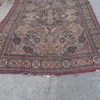 فرش 9 متری|فرش|سنندج, |دیوار