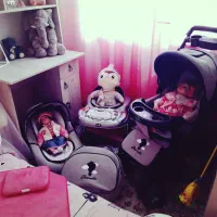 سرویس کالسکه دلیجان