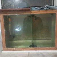 اکواریوم وماهی فلاور