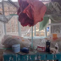 آکواریوم بزرگ