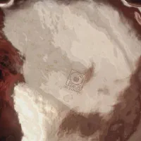 میوه خوری لیلی و مجنون|ظروف سرو و پذیرایی|هشتگرد, فاز ۳ مهستان|دیوار