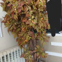 درخت مصنوعی گیلاس پاییزه پر بار