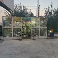 اجاره مغازه گل فروشی|اجارهٔ مغازه و غرفه|کرج, حسن آباد|دیوار