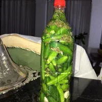 خیارشور بطری امسالی