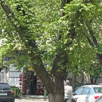 مغازه اجاره ای مناسب تمامی مشاغل گذر پهن