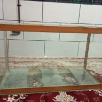 آکواریوم