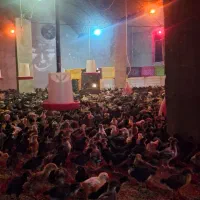 فروش جوجه محلی|حیوانات مزرعه|جوادآباد, |دیوار