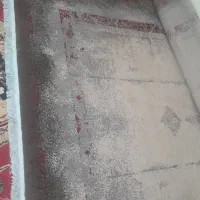 قالی نونو