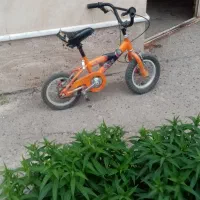 دوچرخه16