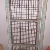 در گنجه کبوتر