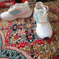 کتونی|کیف، کفش، کمربند|بروجرد, |دیوار