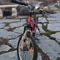 دوچرخه شش دنده قناری