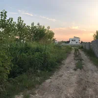 زمین ۲۵۳ متری نسق آلمان/پستک/گلسار|فروش زمین و ملک کلنگی|رشت, فرودگاه سردار جنگل رشت|دیوار