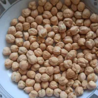 نخودمنصور بوجاری شده تمیز و‌درجه1