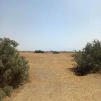 فروش ۷۱۰۰ متری