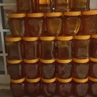عسل گون اصلی ساکروز زیر ۳ بومی کرمانشاه|خوردنی و آشامیدنی|کاشان, ملاصدرا|دیوار