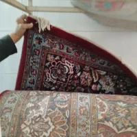 فرش گلیم موکت|پشتی|نیشابور, عدالت|دیوار