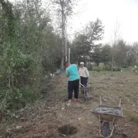 فنس کشی|خدمات پیشه و مهارت|کیاشهر, |دیوار