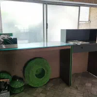 میز پاچال و تحویل