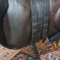 زین اسب|اسب و تجهیزات اسب‌سواری|میاندوآب, |دیوار