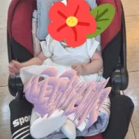 صندلی ماشین کریری کودک