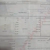 موتور 125|موتورسیکلت|قائمشهر, |دیوار