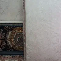 پشتی  یک جفت