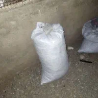 یک کیسه کود کفتر