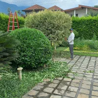 خدمات باغبانی فضای سبز|خدمات باغبانی و درختکاری|نوشهر, |دیوار