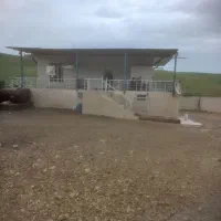 گاوداری|فروش دفتر صنعتی، کشاورزی، تجاری|روانسر, |دیوار