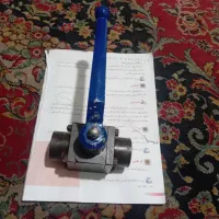 شیرفشارگوی