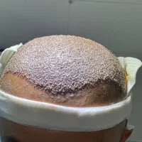 کاشت مو پر تراکم|خدمات آرایشگری و زیبایی|جهرم, |دیوار