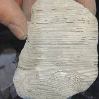 خرید و فروش کاتالیزور انواع خودرو ایرانی و خارجی|قطعات یدکی و لوازم جانبی|مینودشت, |دیوار