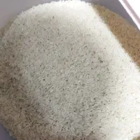 برنج هاشمی پر محصول