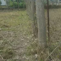 زمین 335 متری سنددار چالوس