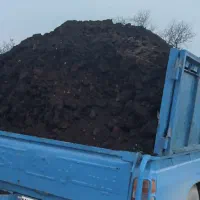 کود گاوی وگوسفندی