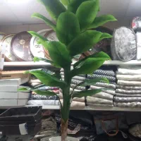 گل مصنوئی|گل مصنوعی|کبودرآهنگ, |دیوار